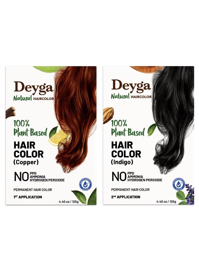 Deyga Natural Hair Color Kit | 100% Plant based | Asia’s 1st Plant-Based Hair Color | Permanent | No Ammonia, No PPD | No Scalp Stain |  125g*2 - Image 1